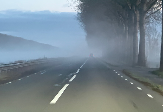 250313-Vechtstreek - 1